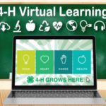 4-H Virtual Learning