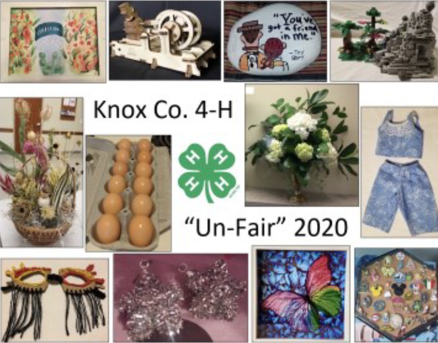 Knox County 4H “UnFair” Craft and Hobby Show Tennessee 4H Youth