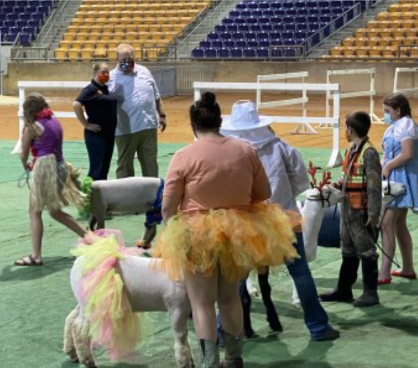 Tennessee Tech University - 2020 Tennessee Youth Sheep Exposition - 4-H\ers showing their sheep