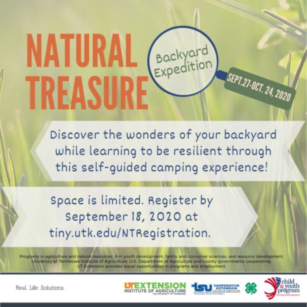 Natural Treasure Backyard Expedition Sept. 27 - Oct. 24, 2020. discover the wonders of your backyard while learning to be resilient through this self-guided camping experience! Space is limited. Register by September 18, 2020 at tiny.utk.edu/NTRegistration.