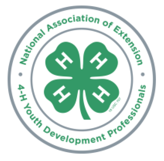 The 2021 NAE4HYDP Memphis Conference Tennessee 4H Youth Development