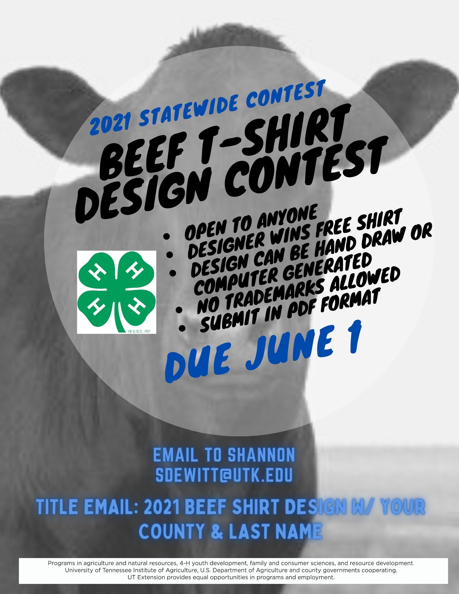 Local District Northwest / STEAM Fest - TShirt Design Contest