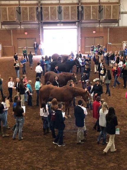 2021 UT Livestock Judging Camp