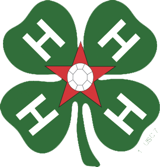 2021 Don Bowman 4-H All Star Service Award