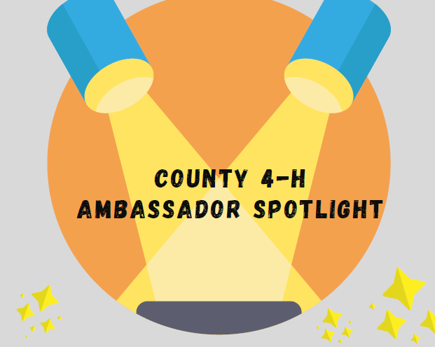 4-H Ambassador Spotlight: Ashley Boone, Crockett County