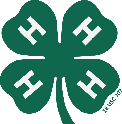 Fundraising, Technology and 4-H Project Work Headline In-Service Offerings for January 2022