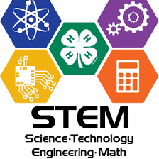 STEM Digital Poster Contest