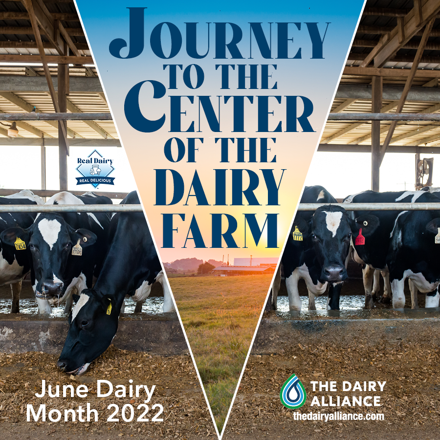 The Dairy Alliance