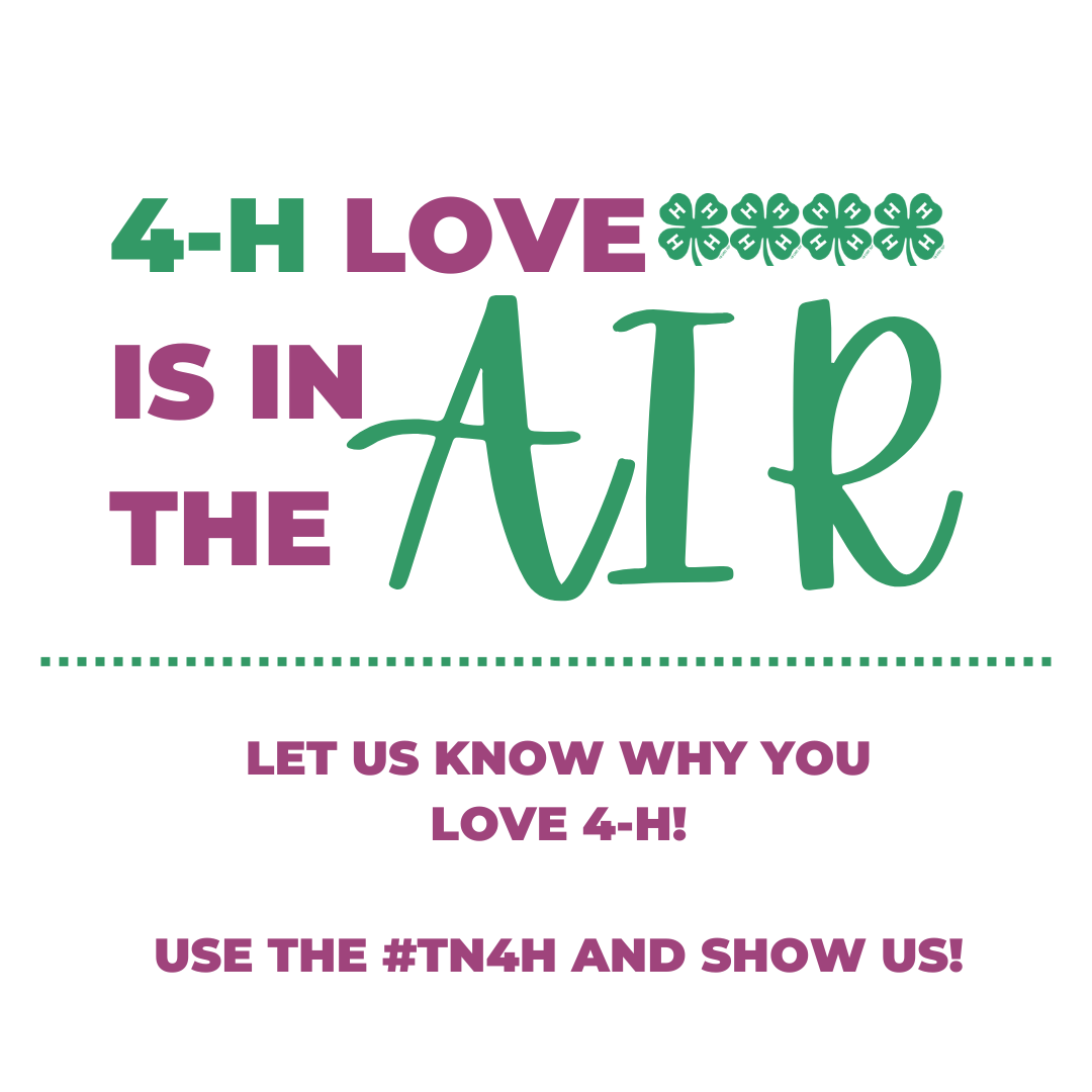 love-is-in-the-air-tennessee-4-h-youth-development