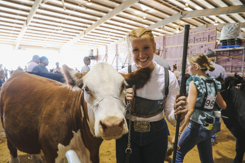 Up-close of a female 4-H'er and her Hereford heifer