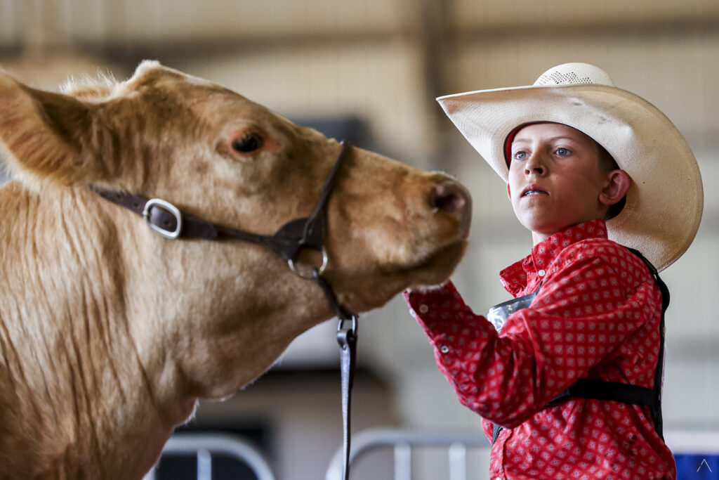 Up-close picture of a male 4-H'er in a cowboy hat holding the cattle halter
