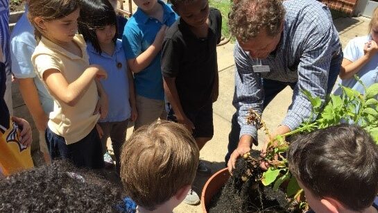 Davidson County School and Community Garden Coordinator is pictured here teaching a lesson to 4-H’ers with the Learn, Eat, Grow & Go lessons. These youth are enjoying learning through hands-on lessons and activities about gardening and nutrition. Many of the 4-H’ers commented that they had no idea how some of their food grows, but they want to start a garden of their own at home.