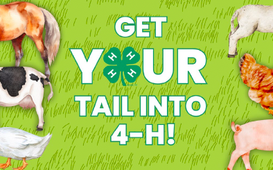 Addy Conrad, Franklin County