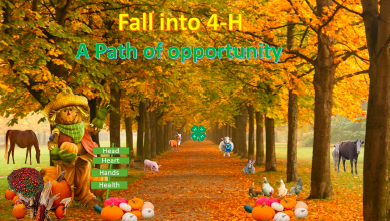 Addison Duncan, Campbell County