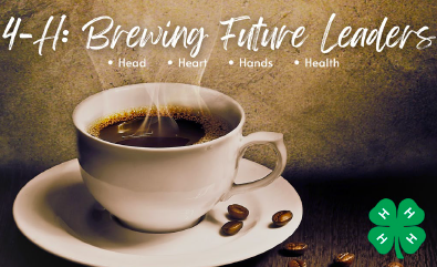 Ananya Sardeasi, Williamson County