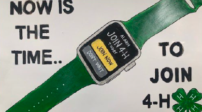 Claira Wiley, Bledsoe County