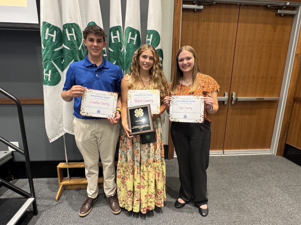 4-H Scholarship Winners