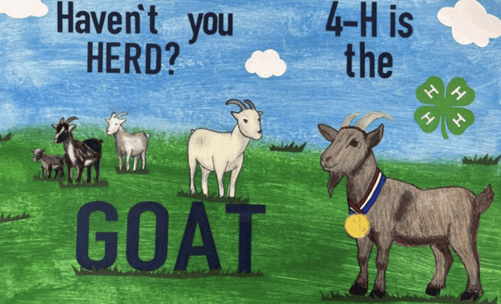 Ripken Brown - Carroll County, 4-H poster theme "Haven't you heard? 4-H is the Goat" with goats in a field that have gold medals around there necks.