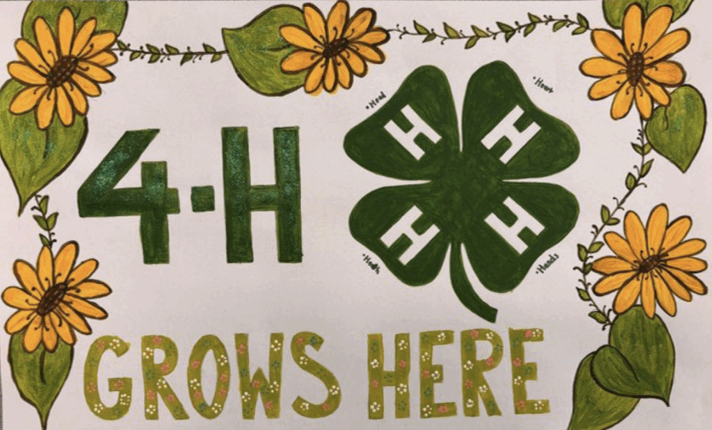 Jade Quattrochi - Marshall County, "4-H grows here" theme with sunflowers