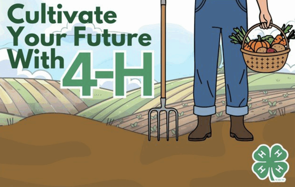 Addy Konrad - Franklin County, 4-H poster theme "Cultivate your future with 4-H"