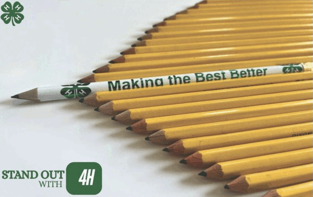 Charvi Srinivas - Williamson County, 4-H poster theme "Stand out with 4-H" yellow pencil in a line with the 4-H pencil stick out above the others.