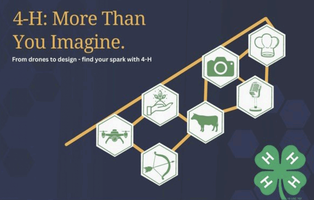 Natalia Mitchell - Williamson County, 4-H Poster Theme "4-H: More than you imagine. From Drones to design, find your spark with 4-H"